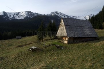Zuflucht auf einen Fernweg im Tatras Polen