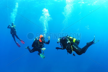 Divers performing his decompression stop  Antheors Peniches dive site  Cote d'Azur  France