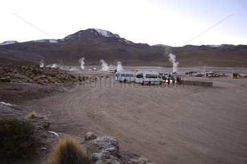 Tatio Geysers at dawn  Puna de Atacama  near San Pedro de Atacama  II Antofagasta Region  Chile