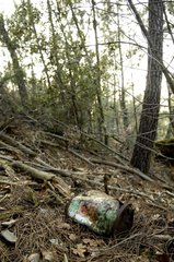 Alte verlassene Trommel von giftigen Pestiziden in einem Unterholz
