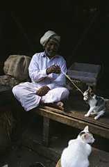 Mann spielt mit einer Katze Mysore Indien