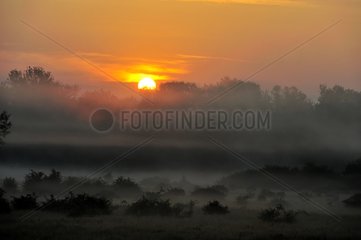 Sunrise over the Loire Valley in the Nièvre France