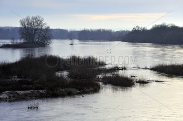 The Loire River at twilight in winter in Bourgogne France