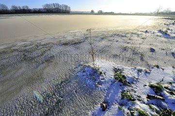 Frozen and flooded field at sunrise in Bourgogne France