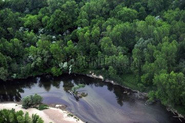 Aerial view of a riverain forest of the Loire River France