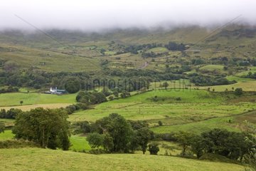 Landschaft des Südwestens Irlands