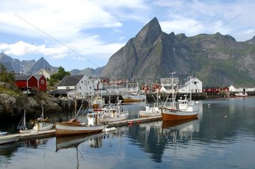 Kabeljau-Hafen für die Herstellung von Stockfish Lofoten