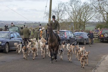 Fox hunting  rider with foxhound  England