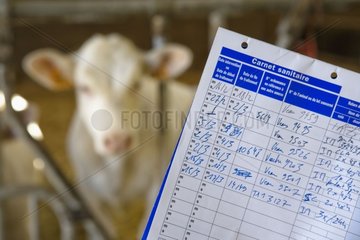 Log health of Charolais cattle France