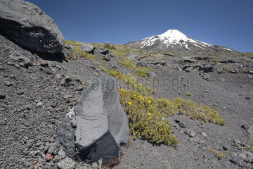Villarrica volcano  solidified lava flows  view of the surroundings of Pucon  Parque Nacional Villarrica  IX Region of Araucania  Chile