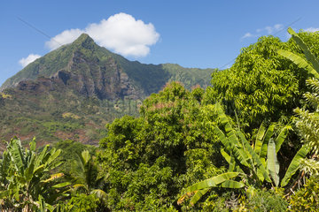 Temetiu peak seen from Atuona  Hiva Oa island  Marquesas Islands  French Polynesia