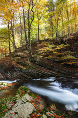 Autumn landscape in the Gorges du Guiers death  Isere  France