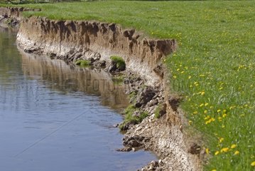 Eroded bank of the Allan in Allenjoie France