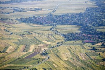 Nicht zugeteilte landwirtschaftliche Stücke Rumänien