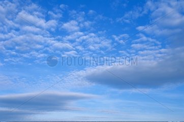 Wolken Altocumulus in einem blauen Himmel