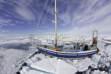 Our sailing boat trapped into the ice  Spitsbergen  Svalbard  Norwegian archipelago  Norway  Arctic Ocean