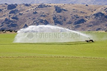 High pressure irrigation of pasture near Cromwell