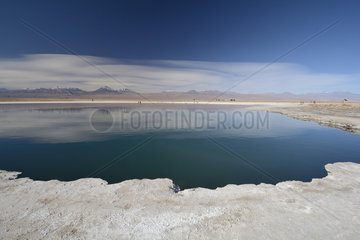 Laguna Cejar  Salar de Atacama  near San Pedro de Atacama  II Antofagasta Region  Chile