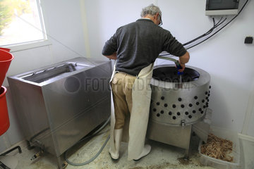 Artisan cleaning his organic poultry slaughterhouse  Provence  France