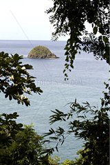 Small island view trough vegetation in Martinique Island
