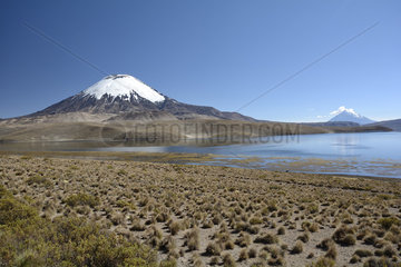 Chungará Lake and Parinacota Volcano  Lauca National Park  XV Region of Arica and Parinacota  Chile