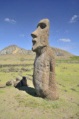 Moai statue on the Tongariki site  Easter Island  Chile