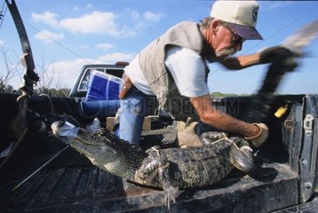 Bill Howell and Alligator taken at bait Texas USA
