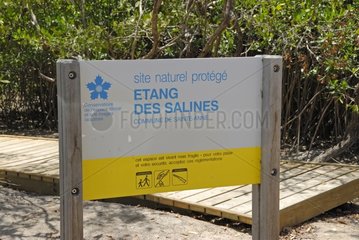 Protected aera of Etang des Salines in Martinique Island