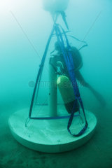 Positioning of the base of an experimental artificial micro reef (xreef) by a scuba diver  Marine Protected Area of the Agathoise coast  Herault  France