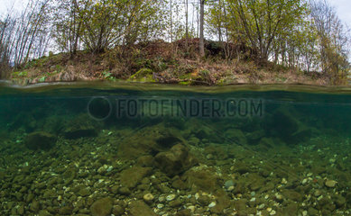 Underwater landscape  in mid-air photo mid-water  in the clear waters of the river livelyt Guiers   Savoie  France