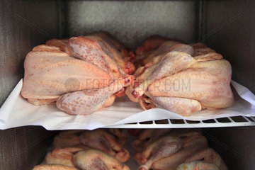 Organic poultry in a refrigerator ready for sale  Provence  France