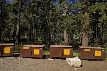 Pigeonholes put food away Bear Yosemite California USA
