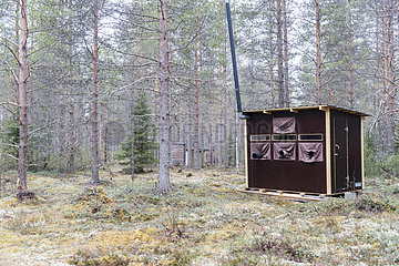 Photography hide for Brown bear (Ursus arctos)  Kajaani  Kuhmo area  Finland