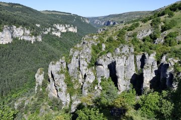 Gorges de la Jonte  Massif Central  Cevennes  France