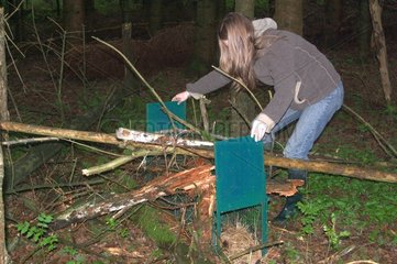 Woman near a Pine marten trap