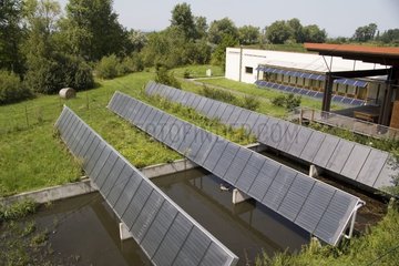 Lagooning and solar panels at Neusiedler National Park