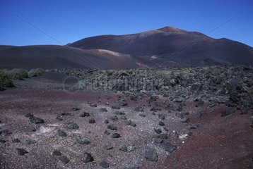 Paysage volcanique de l'île de Lanzarote Espagne