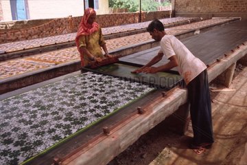 Dyeing with the stencil key set of saris Rajasthan [AT]