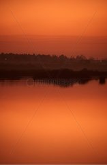 Crépuscule sur les bassins piscicoles du Bayonne Gironde