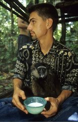 Sick Gibbon Center rehabilitation Kalaweit Borneo Indonesia