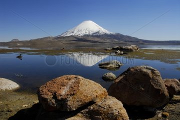 Chungarasee und Parinacota Vulkan Lauca NP Chili