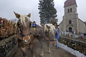 Comtois Pferde vor der Kirche Saint-Lothain Frankreich