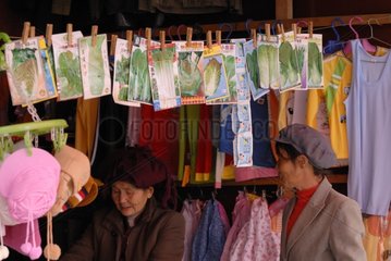 Moso -Frauen in einem Geschäft  das Saatgut verkauft