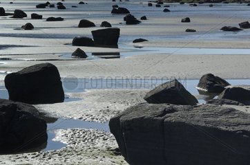 Rocks im Schlamm Bardastroend Island