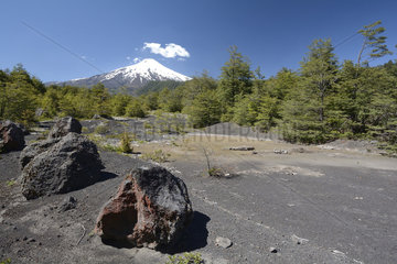 Villarrica Volcano  seen from around Pucon  Parque Nacional Villarrica  IX Region of Araucania  Chile
