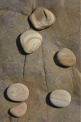 Sandstone roller limestones beach of Bréhec France