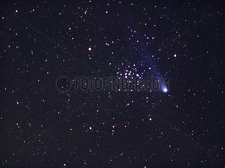 The Neat comet and Messier 44