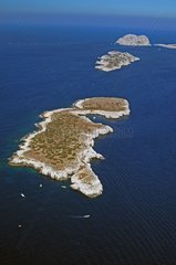 Islands Calseraigne Jarre and Maïre Mediterranean France