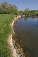 Eroded bank of the Allan in Allenjoie France