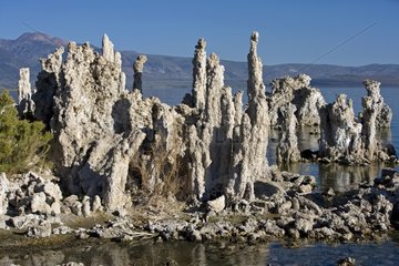 Tufas on the banks of the Mono Lake Sierra Nevada California
